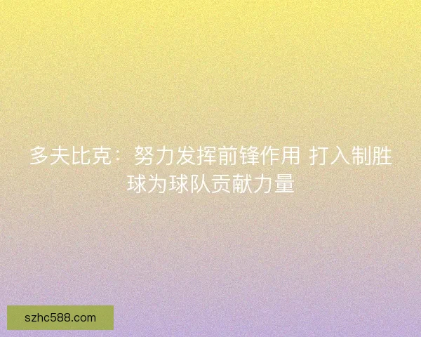 多夫比克：努力发挥前锋作用 打入制胜球为球队贡献力量